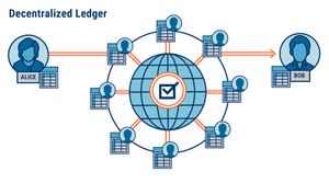 The Bitcoin Network vs. Bitcoin The Asset (BTC)